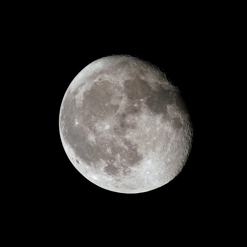 Lunar Lemon Delight
